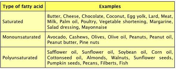 Types of Fatty Acids